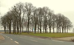 Räbke Thieplatz Winter.jpg