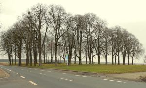 Räbke Thieplatz Winter.jpg