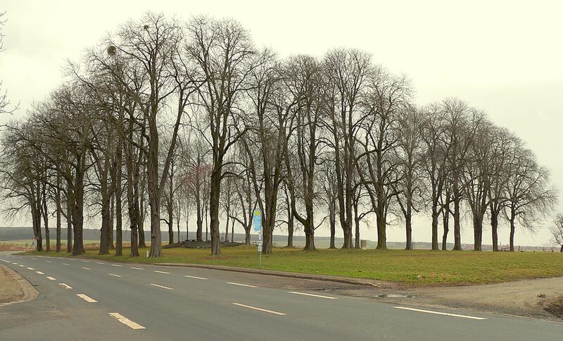 Datei:Räbke Thieplatz Winter.jpg