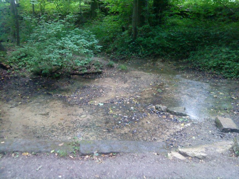 Datei:Quelle am Lutterspring.JPG