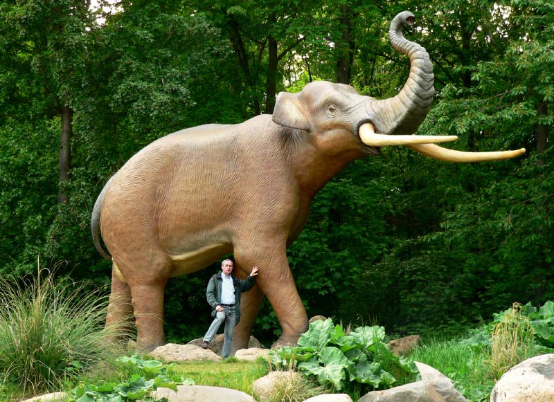 Datei:Waldelefant von Schöningen Nachbildung.jpg