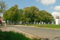 Der Thieplatz im Frühjahr