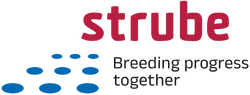 Strube D&S.png